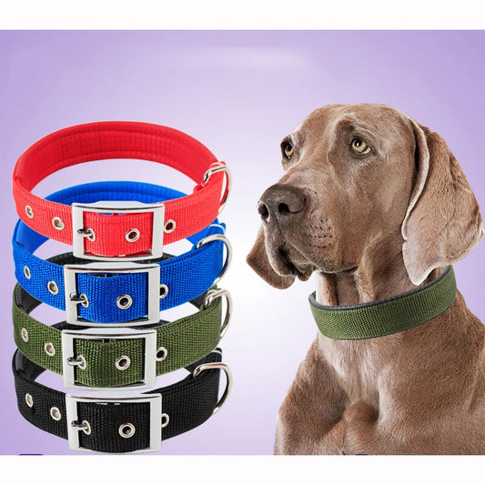 Solid Nylon Dog Collar – Durable and Adjustable for Small, Medium & Large Dogs