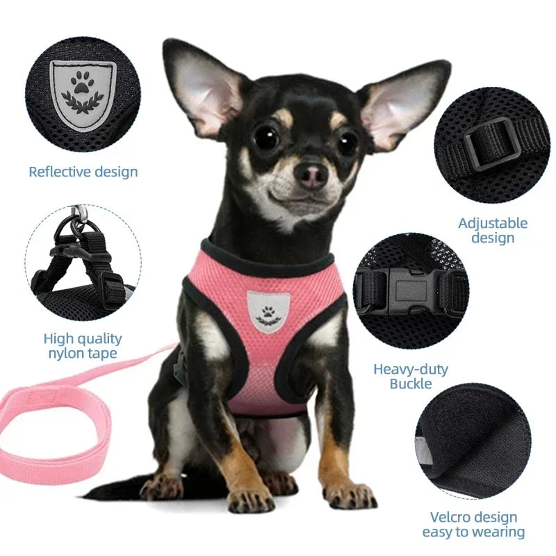 Adjustable Mesh Harness Vest with Leash – For Cats, Puppies & Small Dogs
