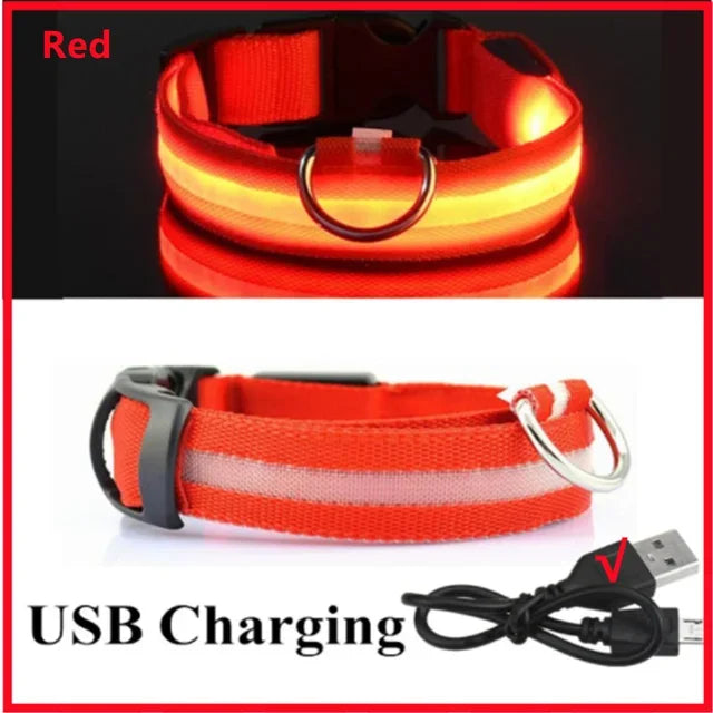 LED Glowing Dog Collar – Adjustable, Rechargeable, Flashing Night Safety Collar for Small Dogs