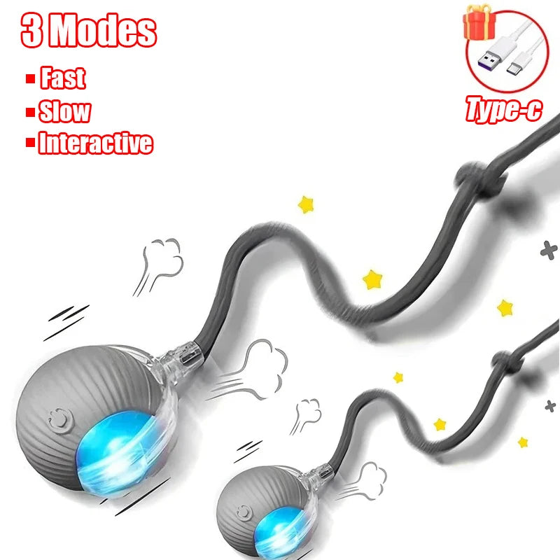 Smart Rolling Ball Toy for Cats & Dogs – Rechargeable with Faux Tail & Mouse-Like Motion