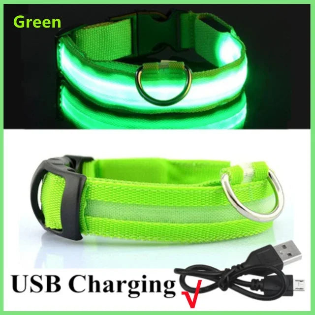 LED Glowing Dog Collar – Adjustable, Rechargeable, Flashing Night Safety Collar for Small Dogs