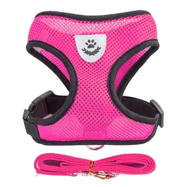 Adjustable Mesh Harness Vest with Leash – For Cats, Puppies & Small Dogs