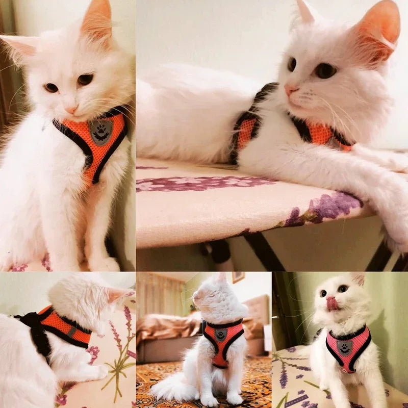 Adjustable Mesh Harness Vest with Leash – For Cats, Puppies & Small Dogs