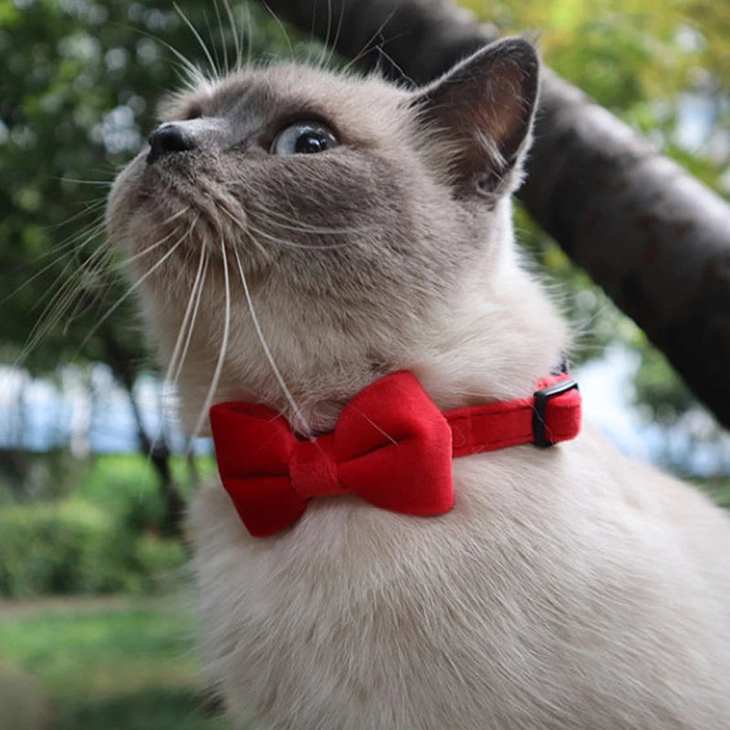 Velvet Cat Collar with Bowknot and Bell – Adjustable Safety Buckle for Puppies and Small Cats
