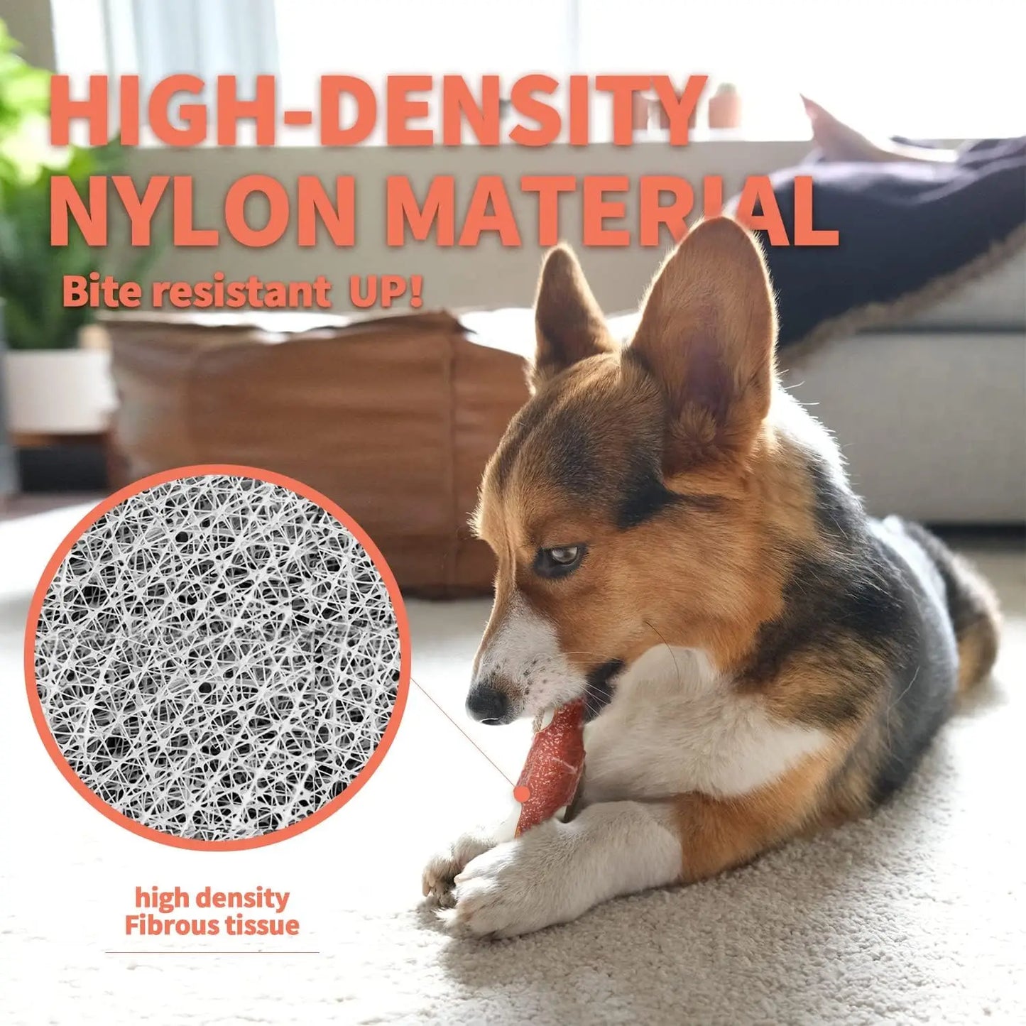 All For Paws Nearly Indestructible Nylon Bone – Beef-Flavored Chew Toy for Aggressive Chewers