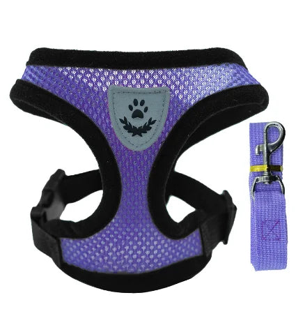Adjustable Mesh Harness Vest with Leash – For Cats, Puppies & Small Dogs