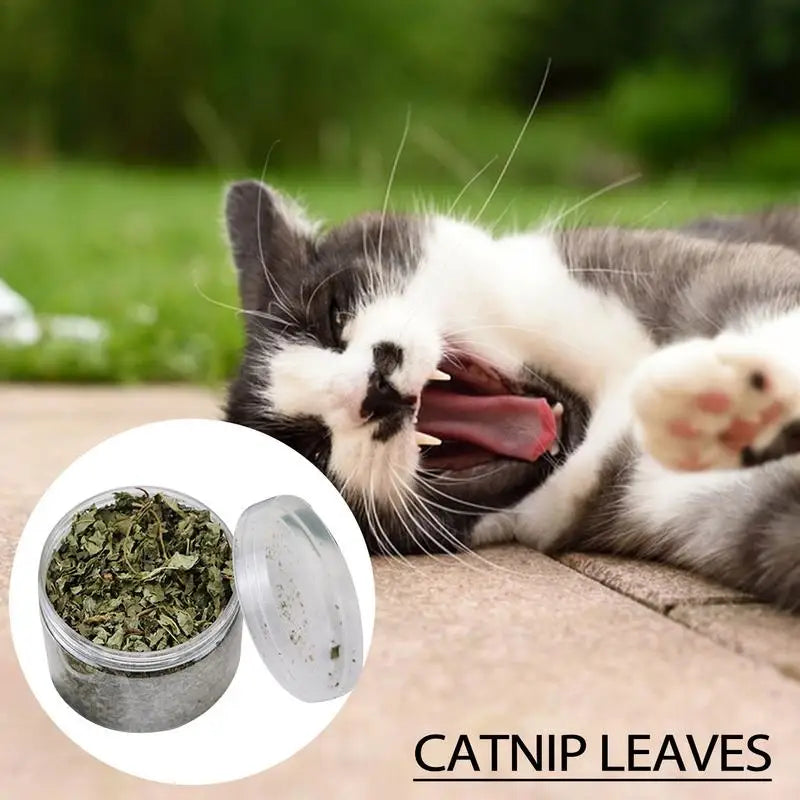 Natural Catnip Organic Premium Catmints – Cat Toy & Hairball Relief Supplement