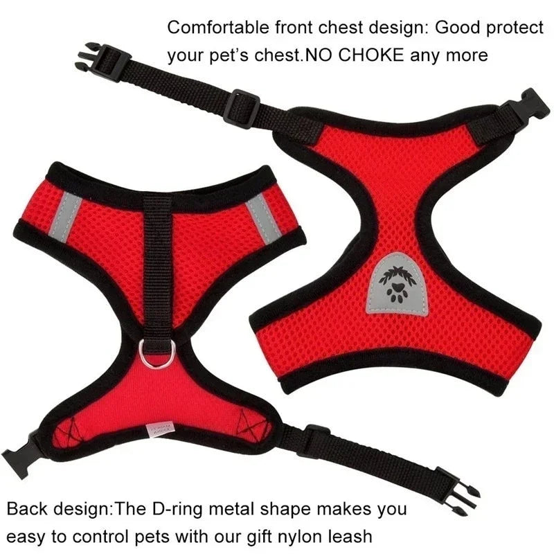 Adjustable Mesh Harness Vest with Leash – For Cats, Puppies & Small Dogs