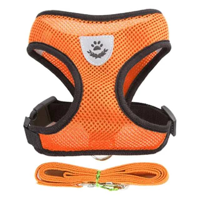 Adjustable Mesh Harness Vest with Leash – For Cats, Puppies & Small Dogs