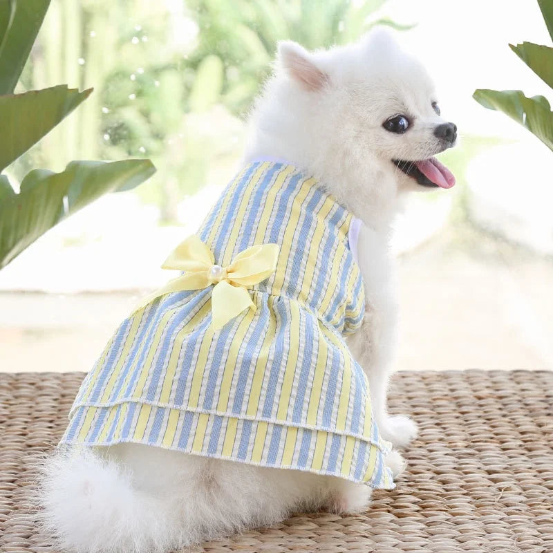 Puppy Vertical Striped Butterfly Skirt – Summer Princess Dress for Dogs and Cats
