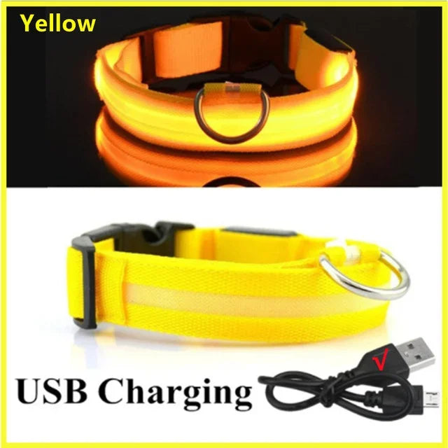 LED Glowing Dog Collar – Adjustable, Rechargeable, Flashing Night Safety Collar for Small Dogs