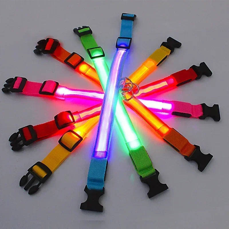 LED Glowing Dog Collar – Adjustable, Rechargeable, Flashing Night Safety Collar for Small Dogs