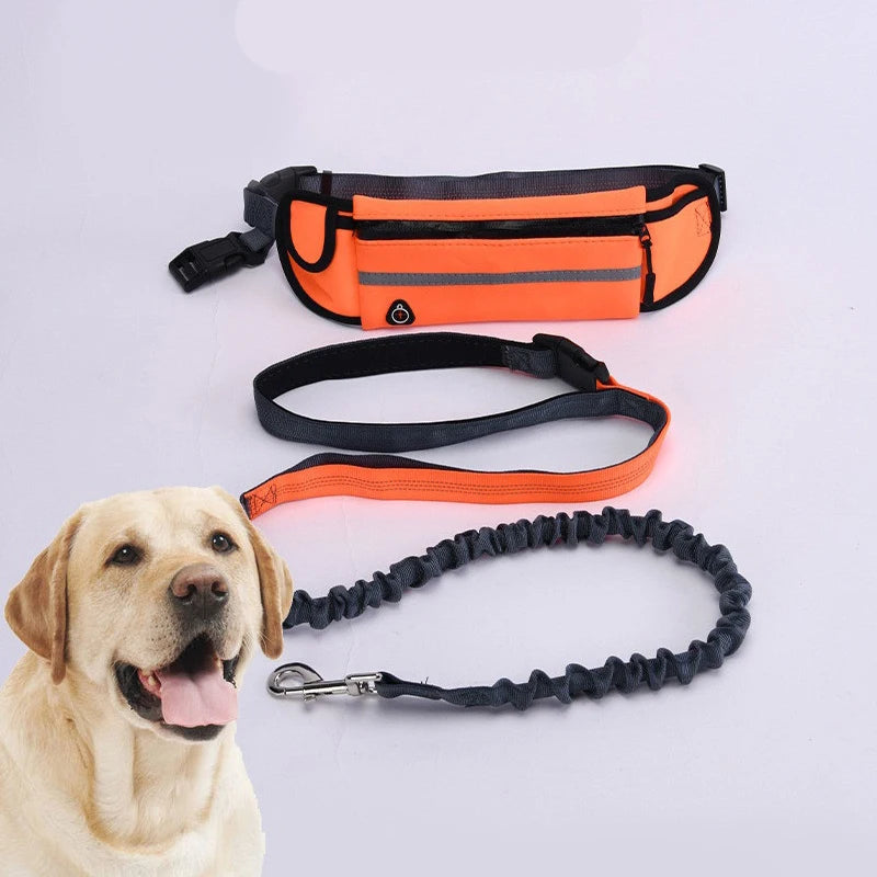Hands-Free Dog Leash with Waist Bag – Reflective, Retractable, and Perfect for Running or Walking