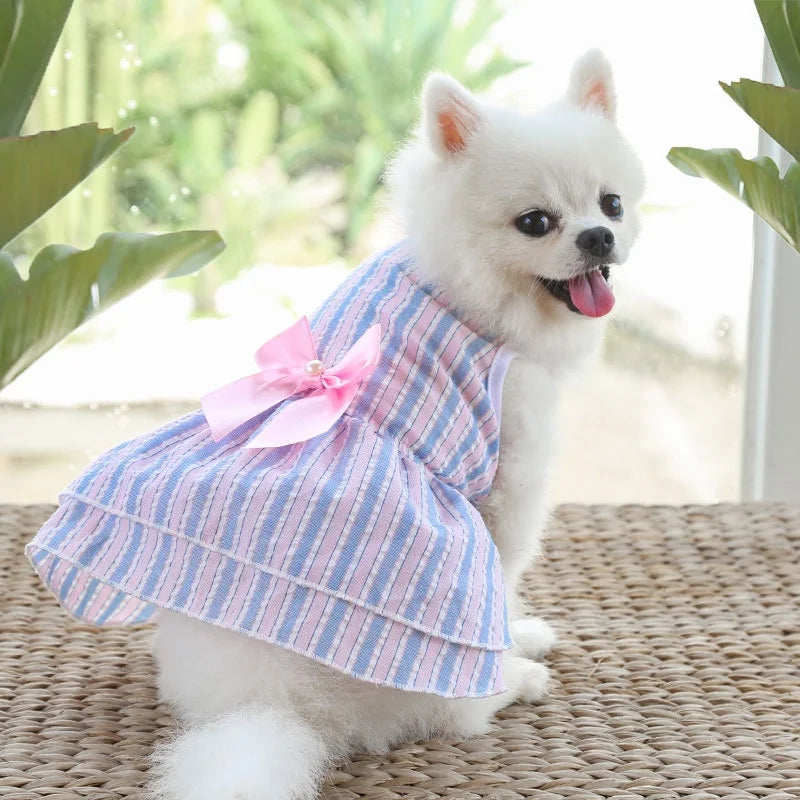 Puppy Vertical Striped Butterfly Skirt – Summer Princess Dress for Dogs and Cats