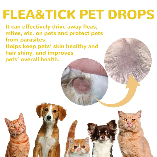 Cat Anti-Flea & Tick Drops – Fast-Acting Relief from Fleas, Lice, and Itching