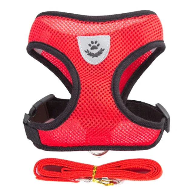 Adjustable Mesh Harness Vest with Leash – For Cats, Puppies & Small Dogs