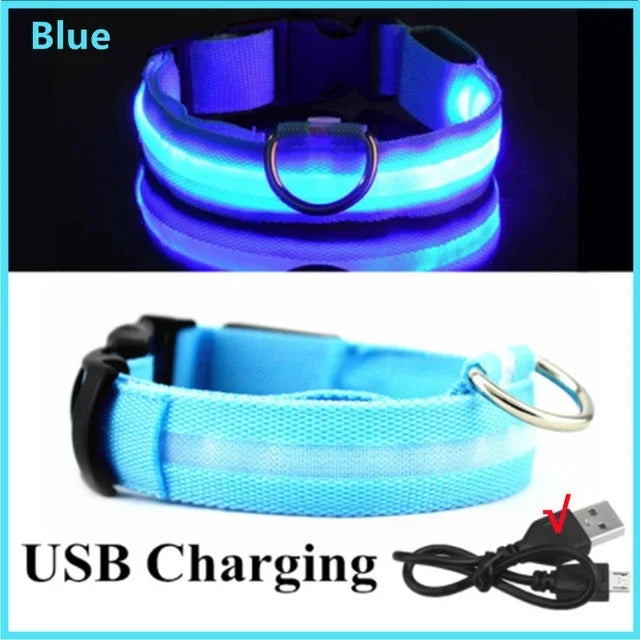 LED Glowing Dog Collar – Adjustable, Rechargeable, Flashing Night Safety Collar for Small Dogs