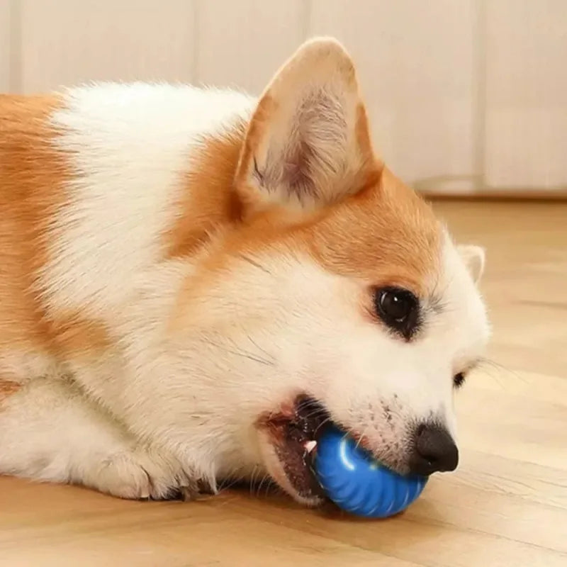 Smart Automatic Moving Dog Toy Ball – USB Rechargeable Interactive Chew & Chase Toy