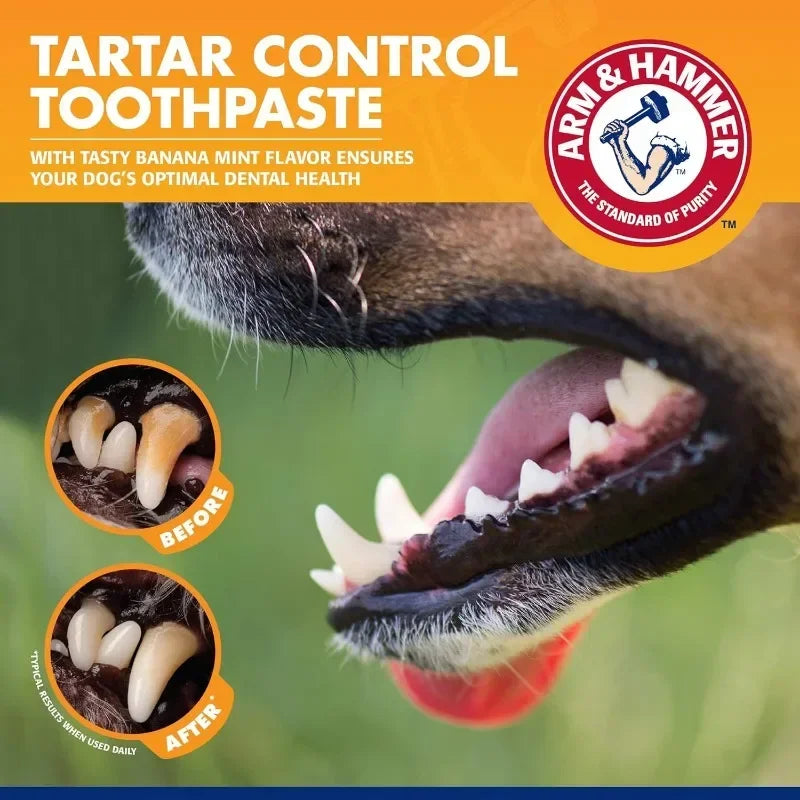 Pet Dental Care Kit – Toothbrush & Universal Toothpaste Set for Dogs & Cats
