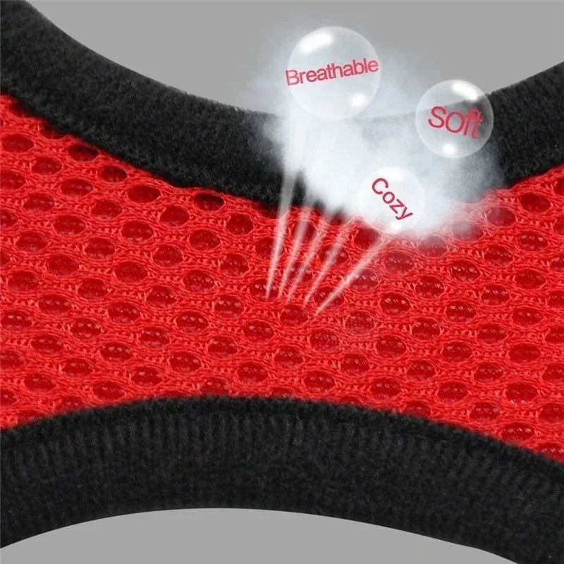 Adjustable Mesh Harness Vest with Leash – For Cats, Puppies & Small Dogs