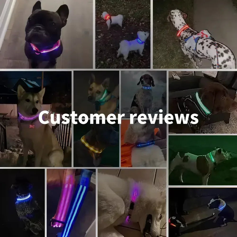 LED Glowing Dog Collar – Adjustable, Rechargeable, Flashing Night Safety Collar for Small Dogs