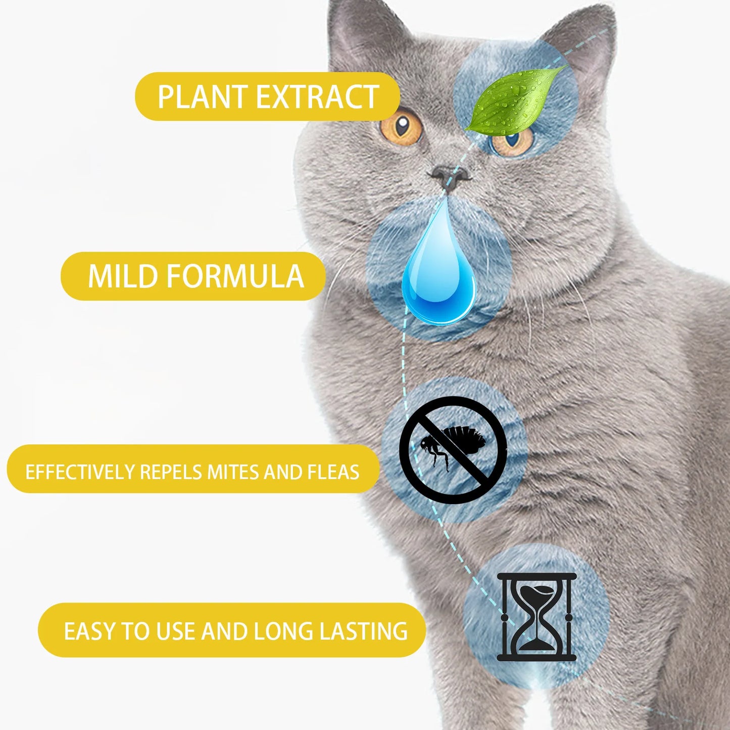 Cat Anti-Flea & Tick Drops – Fast-Acting Relief from Fleas, Lice, and Itching