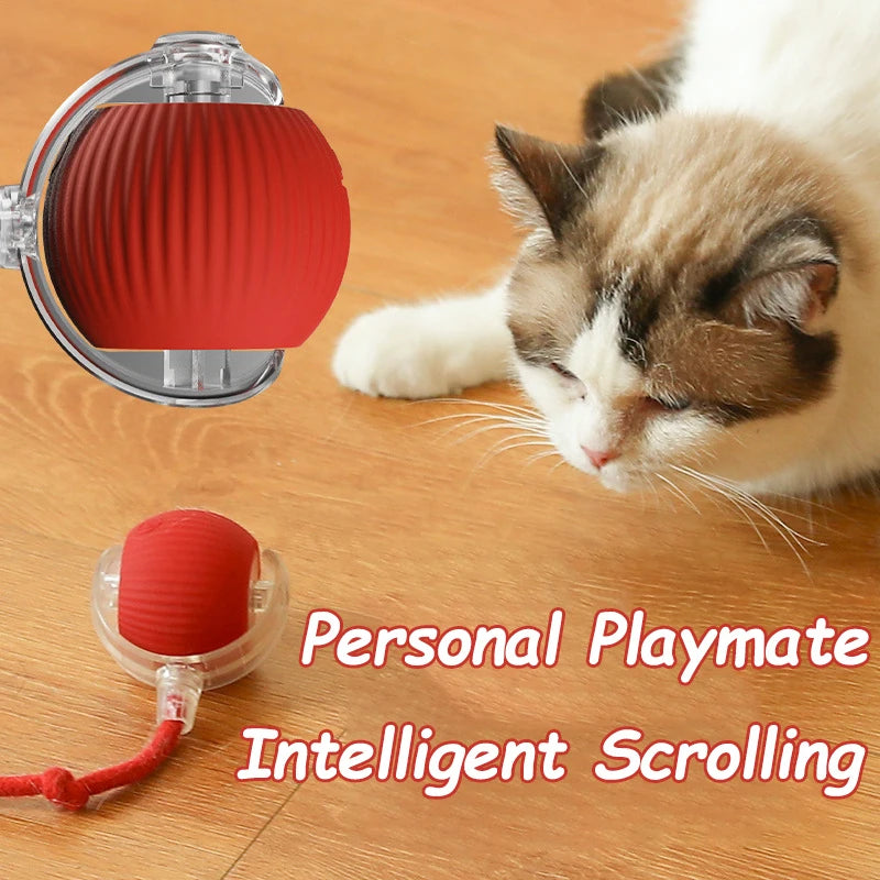 Smart Rolling Ball Toy for Cats & Dogs – Rechargeable with Faux Tail & Mouse-Like Motion