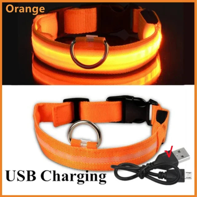LED Glowing Dog Collar – Adjustable, Rechargeable, Flashing Night Safety Collar for Small Dogs