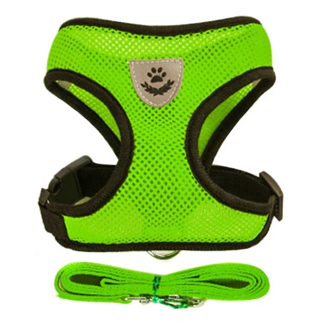 Adjustable Mesh Harness Vest with Leash – For Cats, Puppies & Small Dogs