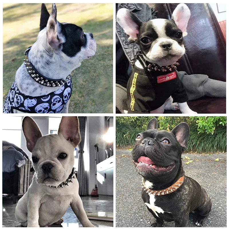 Adjustable PU Leather Spiked Dog Collar – Punk Rivet Design for Small Dogs and Cats