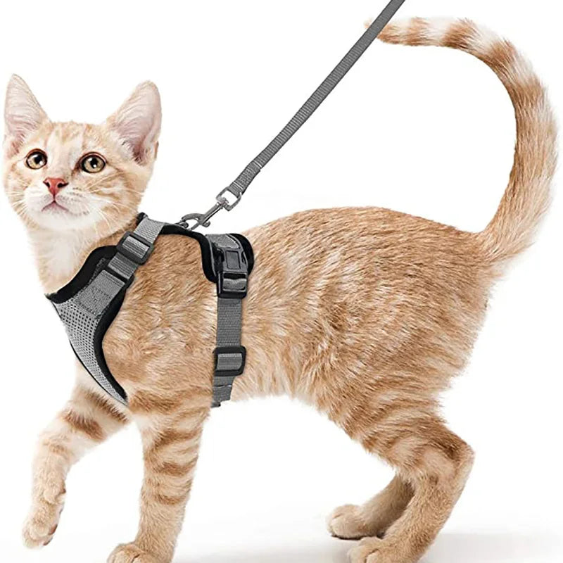 Adjustable Soft Cat Harness And Leash for Walking - Escape Proof Easy-Control Vest Harness with Comfortable Fit for Cats