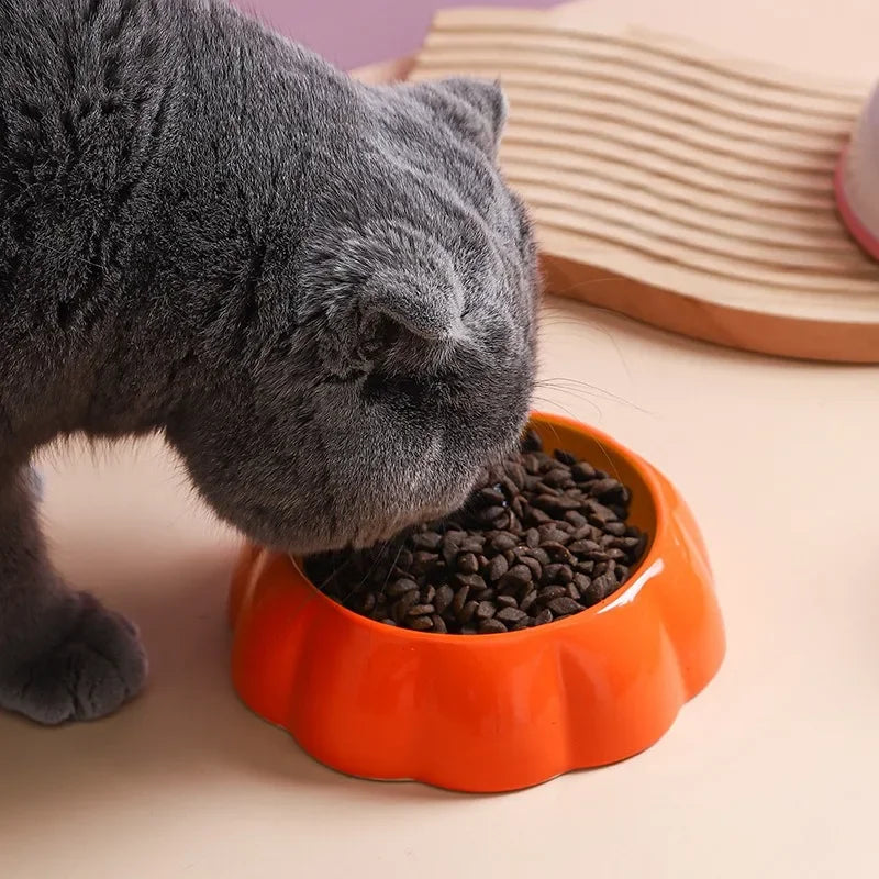 Cute Fruit-Shaped Ceramic Pet Bowls – Watermelon & Strawberry Designs for Cats & Small Dogs