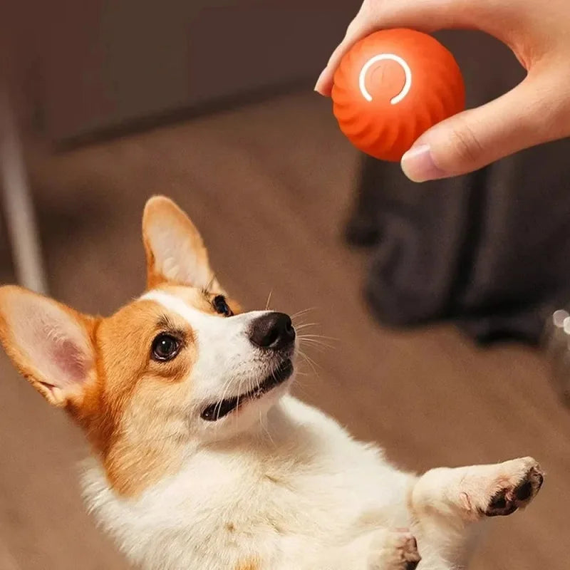 Smart Automatic Moving Dog Toy Ball – USB Rechargeable Interactive Chew & Chase Toy