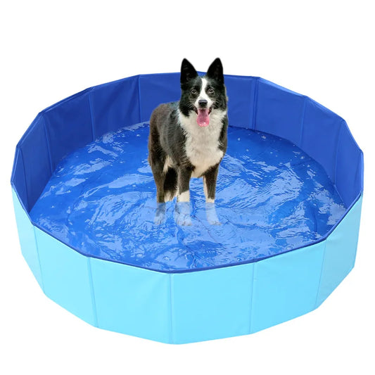 Foldable Cat & Dog Pool – Fun Summer Water Bath Tub with Turtle, Starfish & Octopus Design