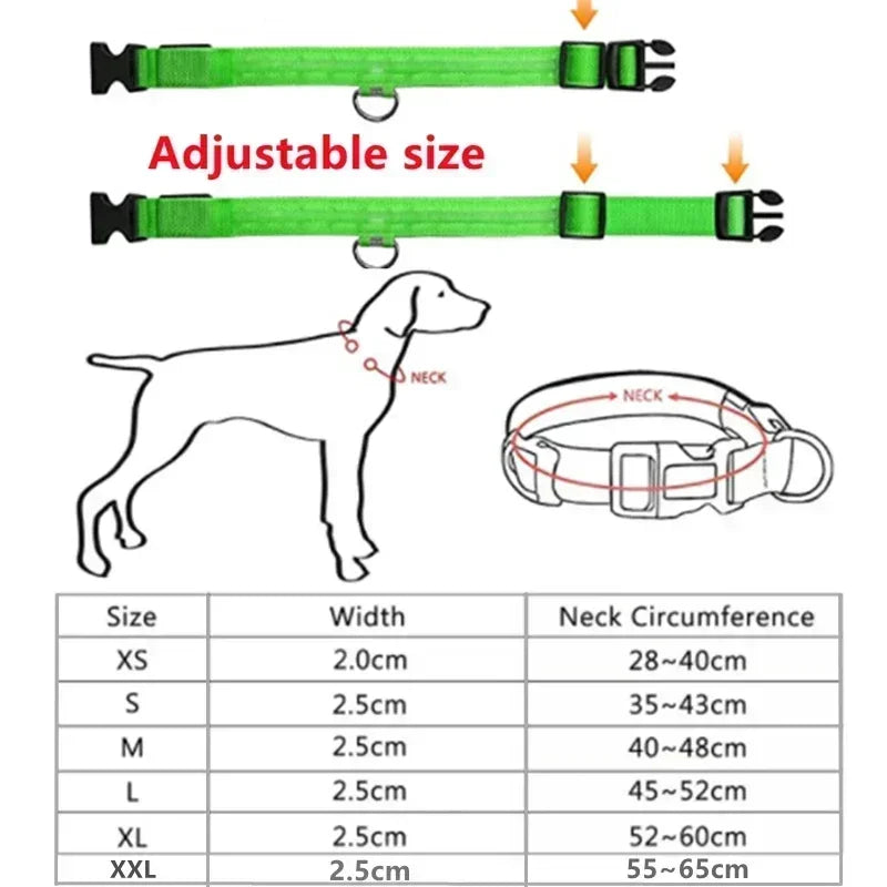 LED Glowing Dog Collar – Adjustable, Rechargeable, Flashing Night Safety Collar for Small Dogs