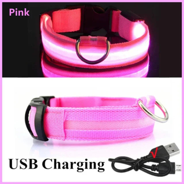 LED Glowing Dog Collar – Adjustable, Rechargeable, Flashing Night Safety Collar for Small Dogs