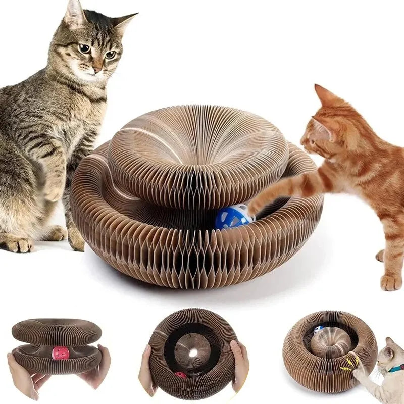 Magic Cat Scratch Organ Board – 3-in-1 Cat Toy, Claw Grinder & Climbing Frame with Ball Track