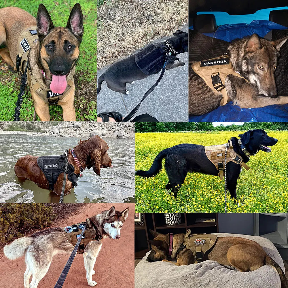 Heavy-Duty Large Dog Harness & Leash Set – Training and Walking Vest for German Shepherds, Malinois & Medium to Large Dogs
