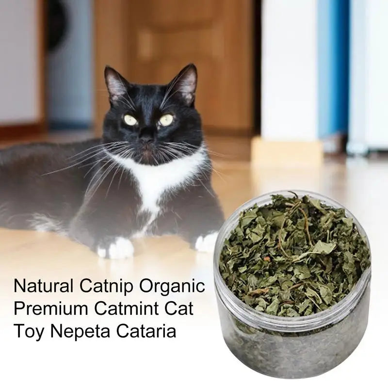 Natural Catnip Organic Premium Catmints – Cat Toy & Hairball Relief Supplement