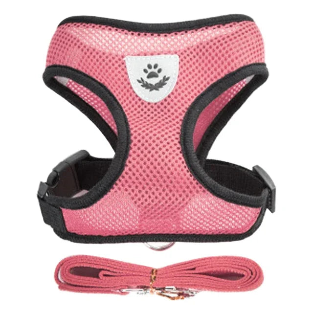 Adjustable Mesh Harness Vest with Leash – For Cats, Puppies & Small Dogs