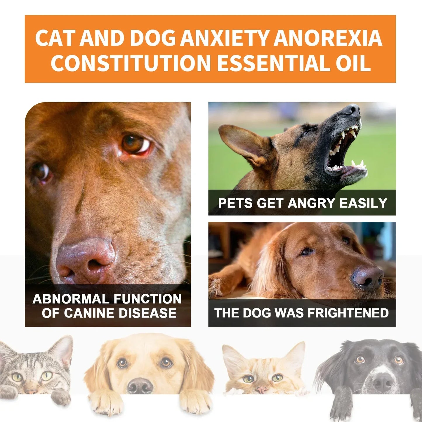 Natural Organic Calming Drops – Essential Oil Blend for Pet Anxiety Relief & Skin Health