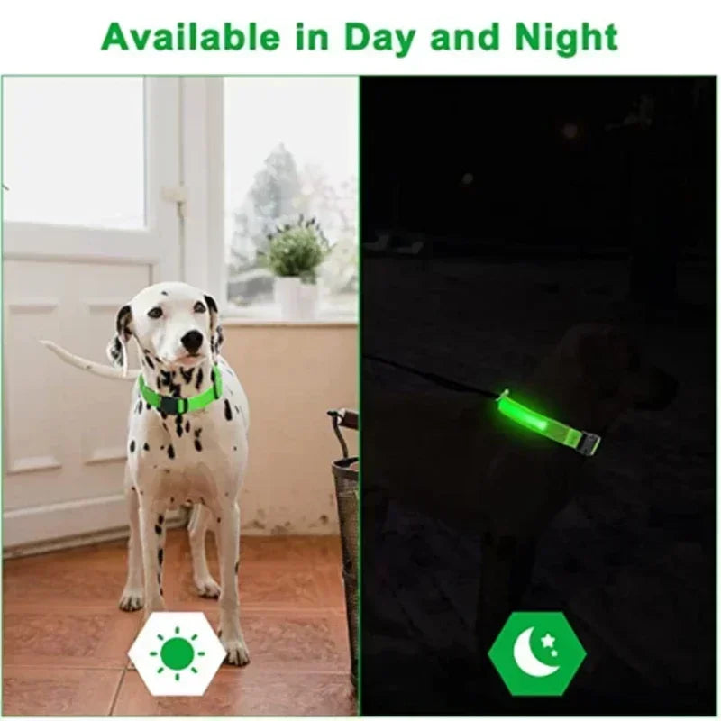 LED Glowing Dog Collar – Adjustable, Rechargeable, Flashing Night Safety Collar for Small Dogs