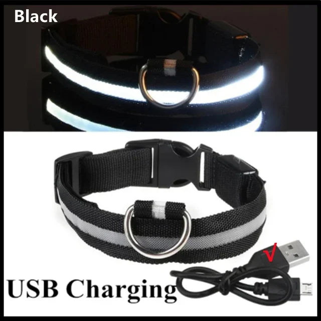 LED Glowing Dog Collar – Adjustable, Rechargeable, Flashing Night Safety Collar for Small Dogs