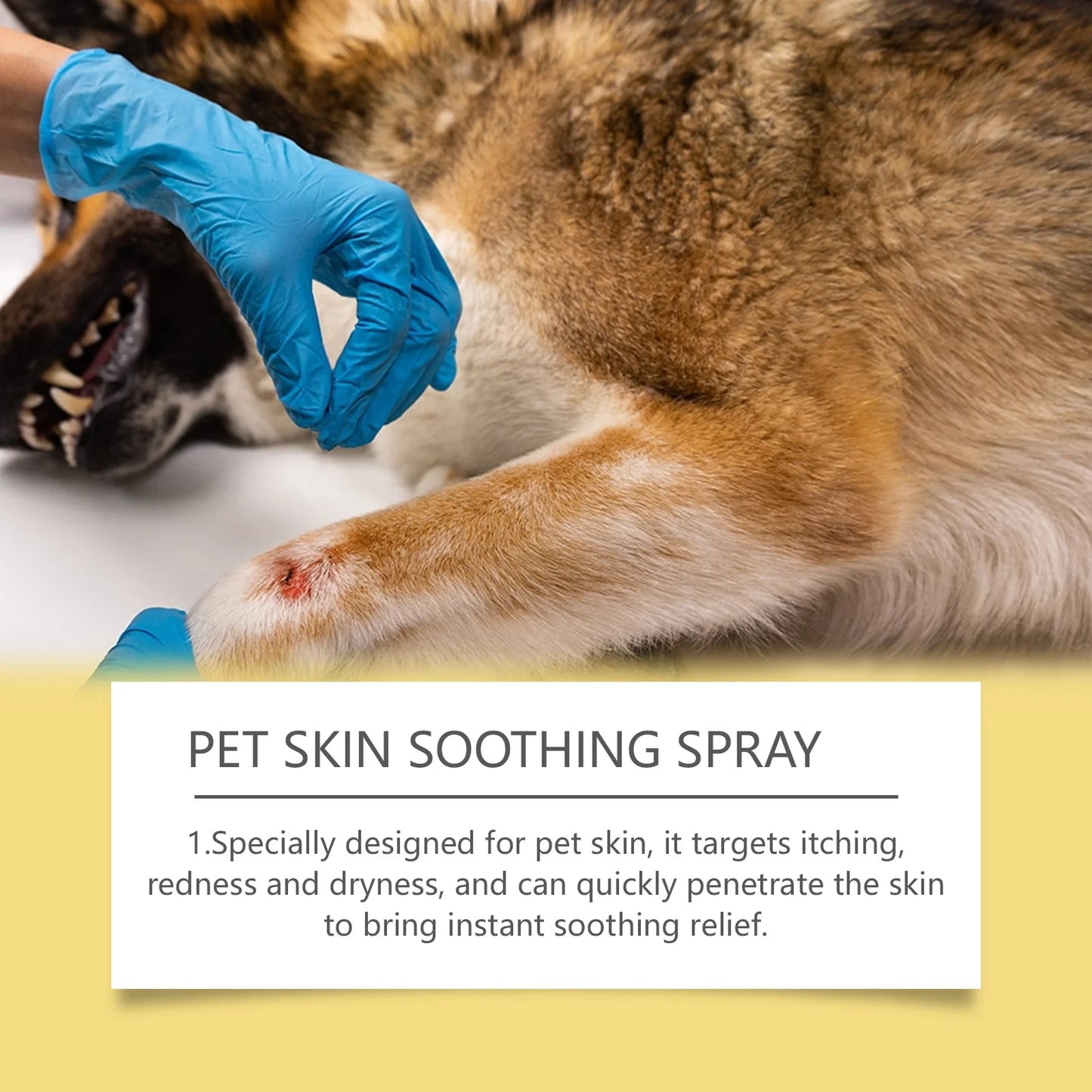 Pet Skin Care Spray – Soothing Relief for Itching, Fleas & Minor Wounds