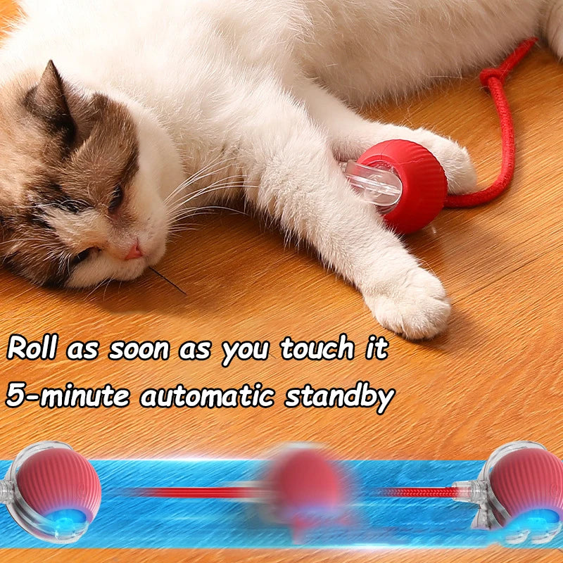 Smart Rolling Ball Toy for Cats & Dogs – Rechargeable with Faux Tail & Mouse-Like Motion