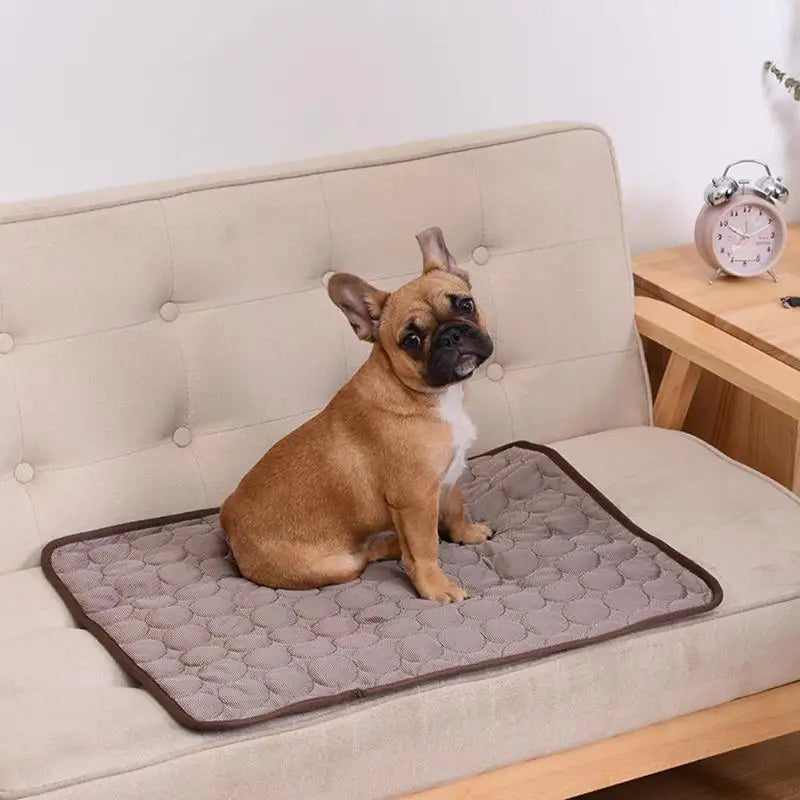 Cooling Summer Dog Mat – Breathable, Washable Pet Pad for Dogs & Cats