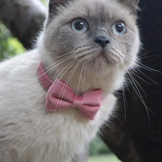 Velvet Cat Collar with Bowknot and Bell – Adjustable Safety Buckle for Puppies and Small Cats
