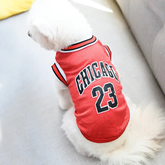 Mesh Breathable Sport Jersey – Schnauzer, Teddy, and Large Dog Summer T-Shirts