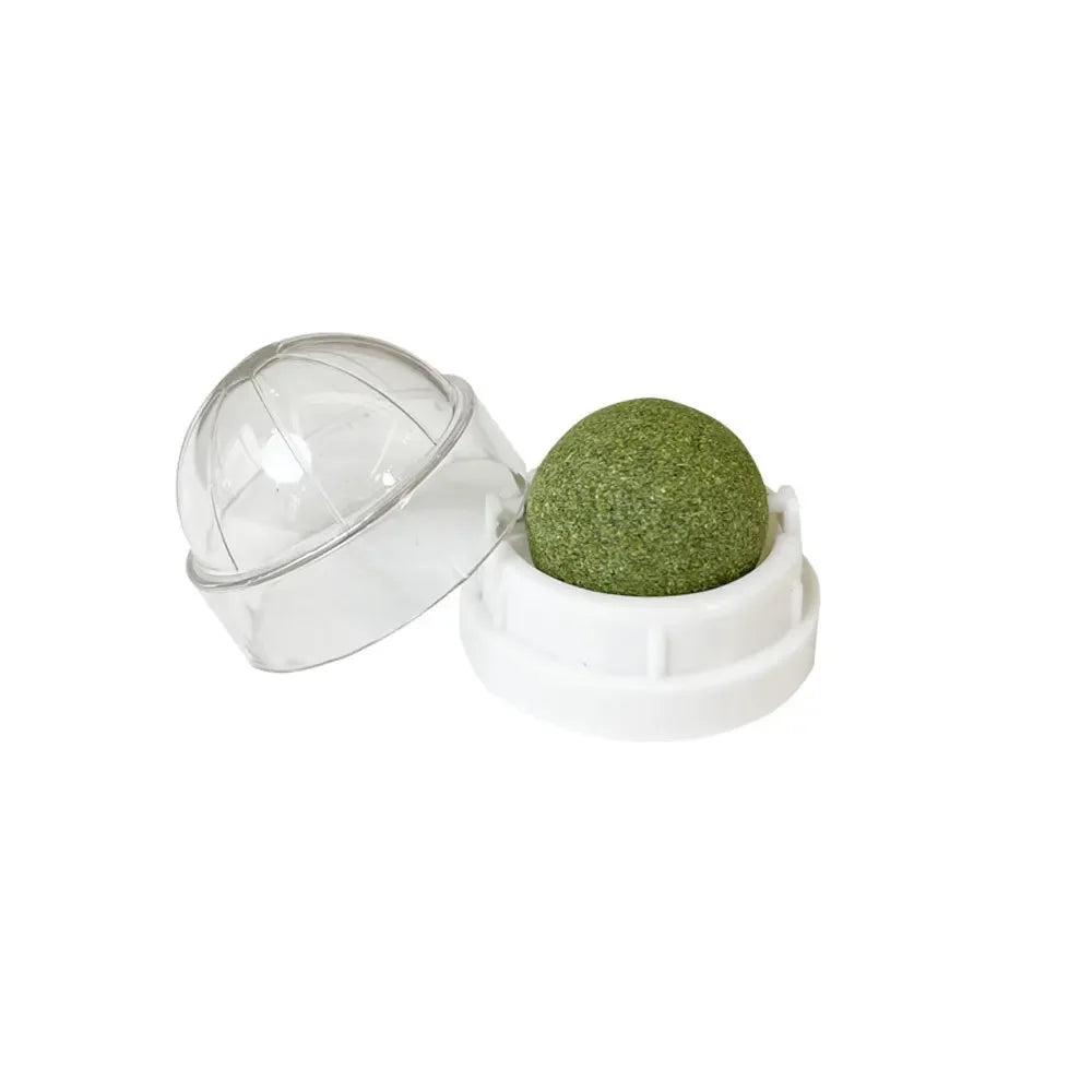 Natural Catnip Cat Wall Stick-On Ball Toy – Scratcher & Treat for Healthy Digestion