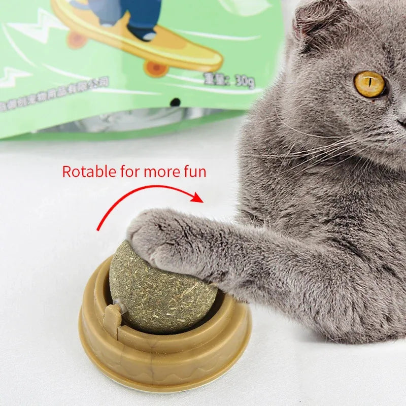 Natural Catnip Cat Wall Stick-On Ball Toy – Scratcher & Treat for Healthy Digestion